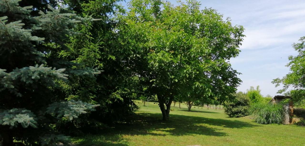 Gesztenye Vendeghaz Sagvar Exterior photo