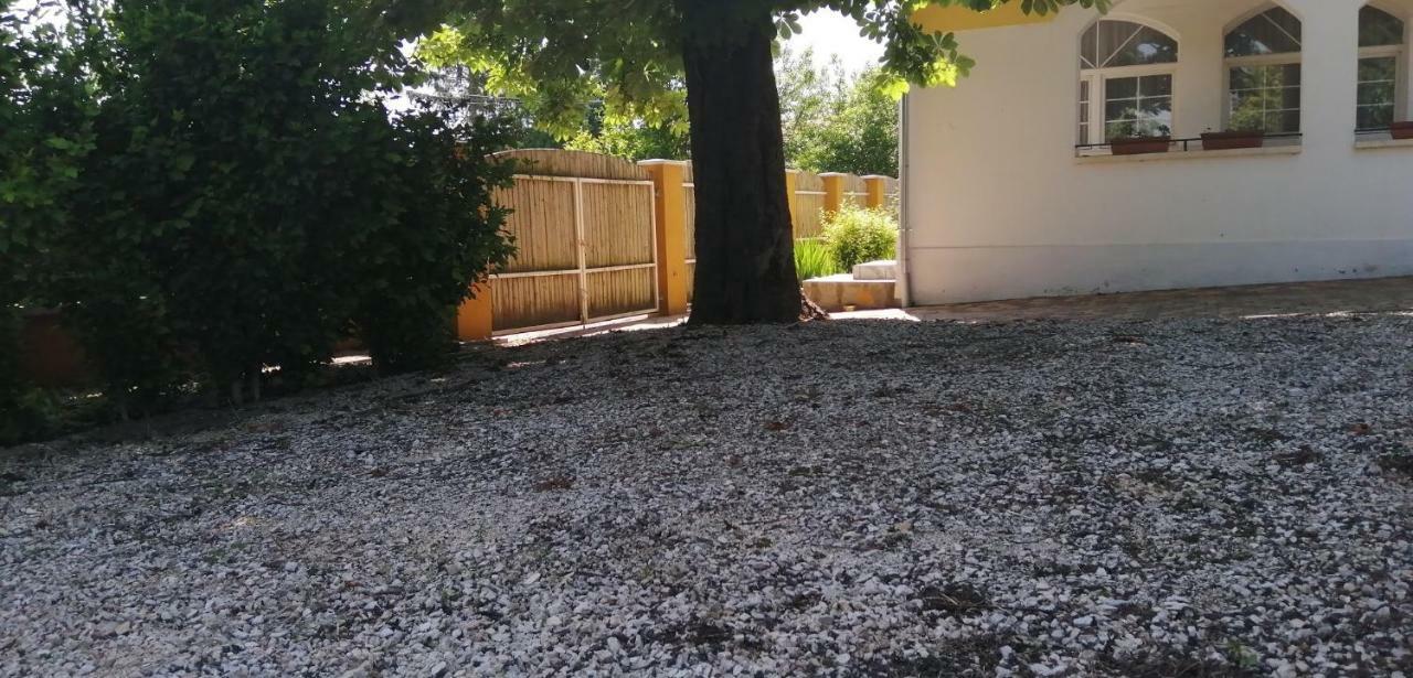 Gesztenye Vendeghaz Sagvar Exterior photo