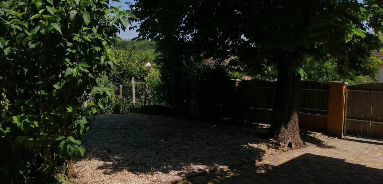Gesztenye Vendeghaz Sagvar Exterior photo